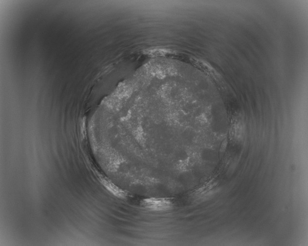 X0000082200477200702170023