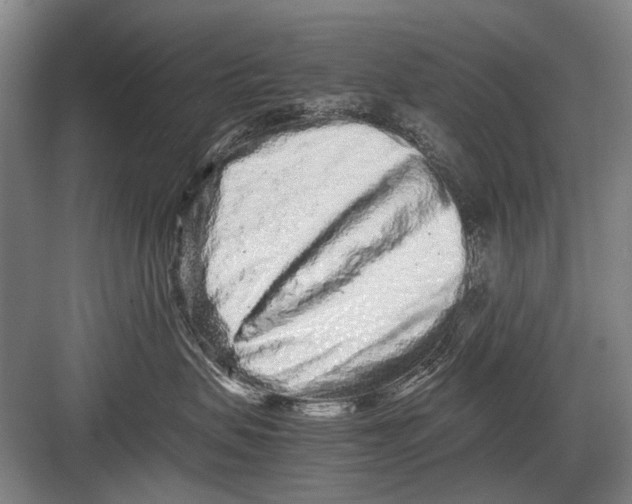 X0000082200479200702170023