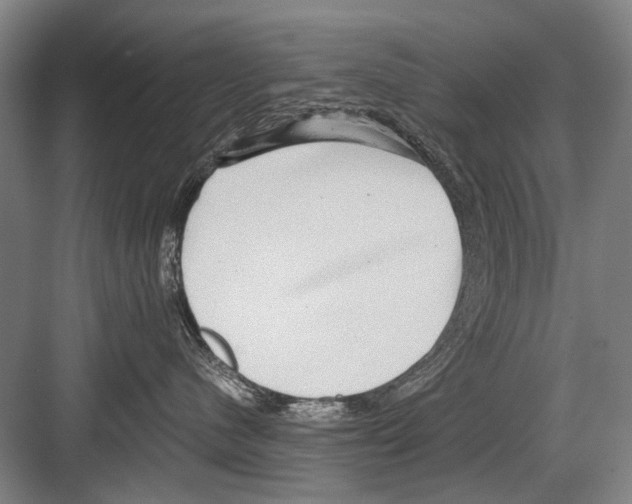 X0000082200480200702170023