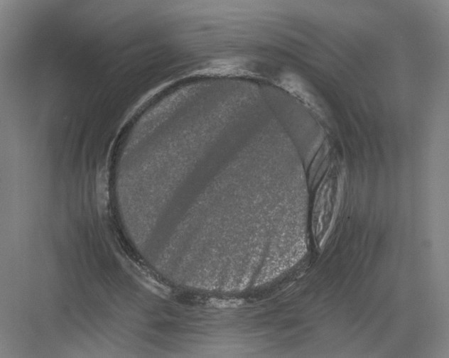 X0000082200484200702170022