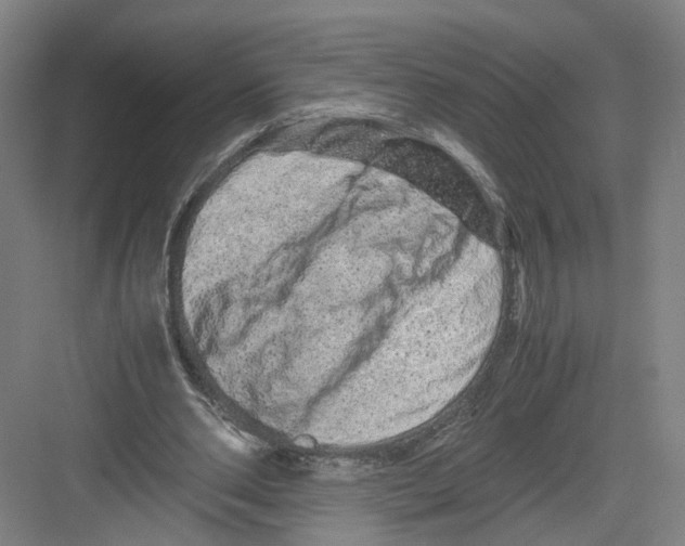 X0000082200486200702170022