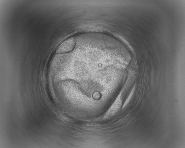 X0000082200487200702170022