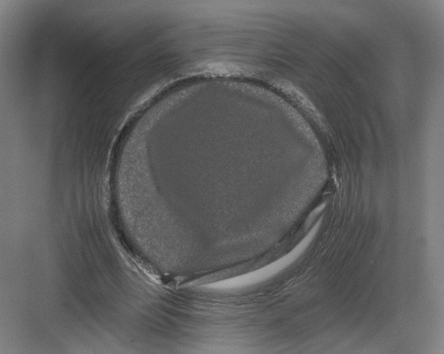 X0000082200488200702170022