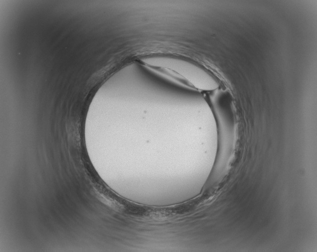 X0000082200489200702170022