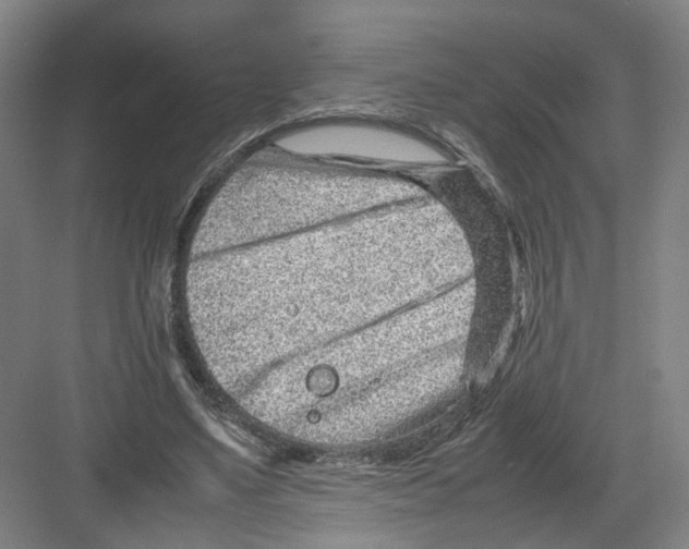 X0000082200491200702170022