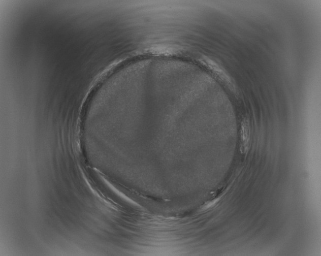 X0000082200492200702170022