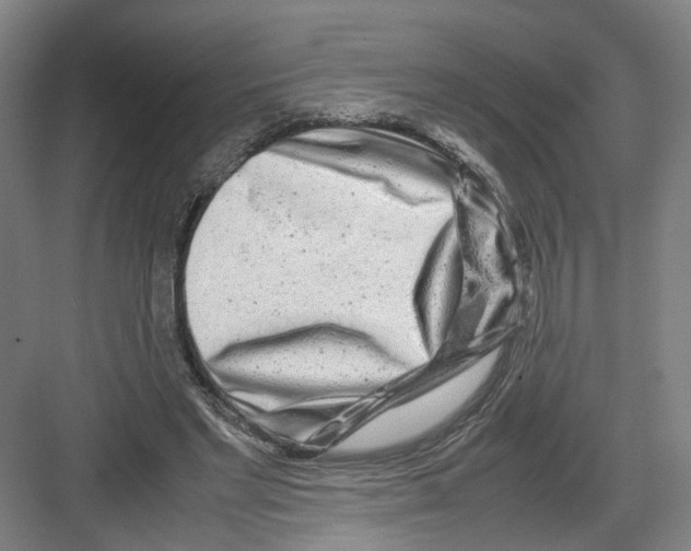 X0000082200493200702170022