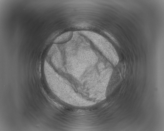 X0000082200494200702170022