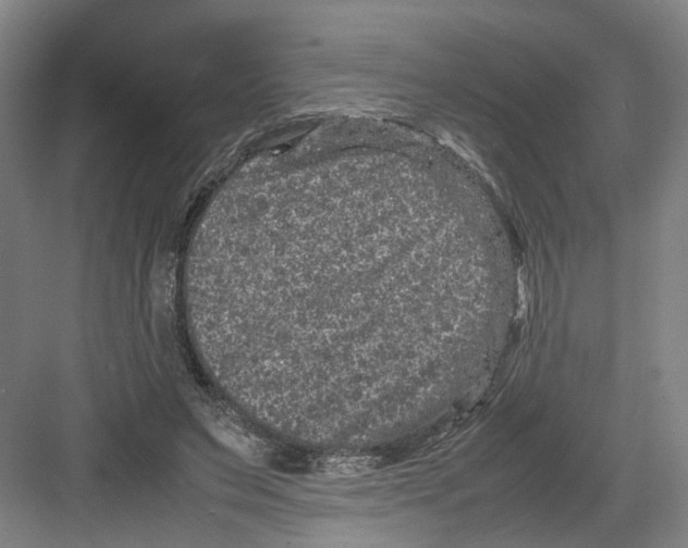 X0000082200495200702170022