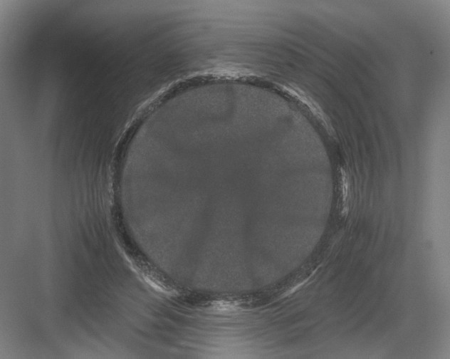 X0000082200496200702170022