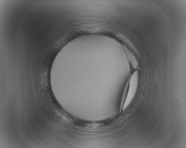 X0000082200497200702170022