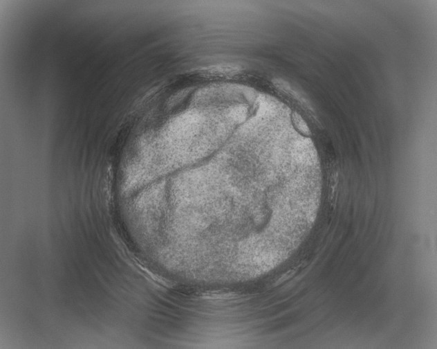 X0000082200498200702170022