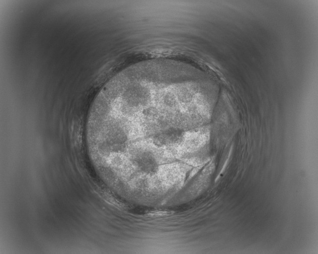 X0000082200499200702170022