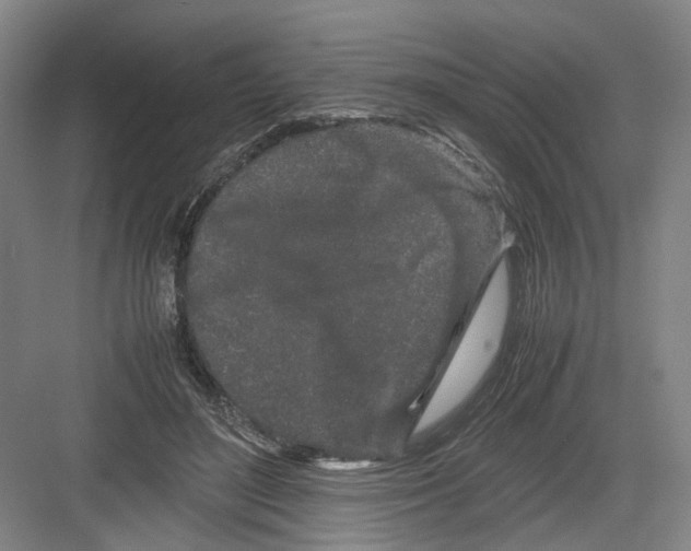 X0000082200500200702170022