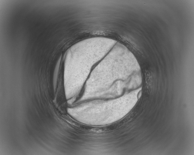 X0000082200502200702170022