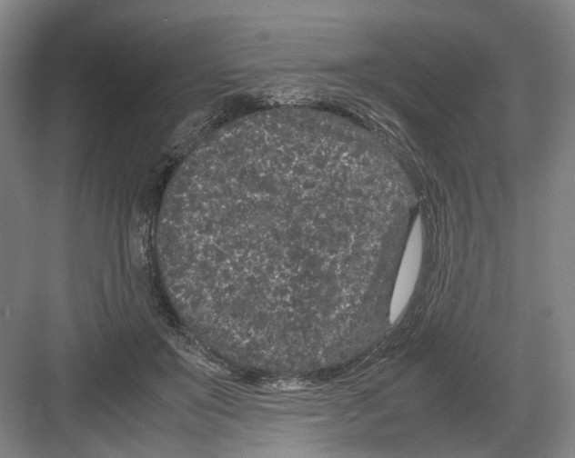 X0000082200503200702170022