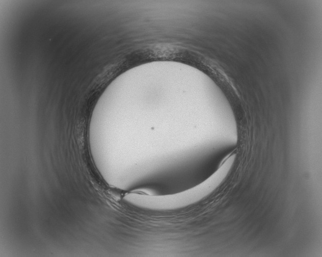 X0000082200505200702170022