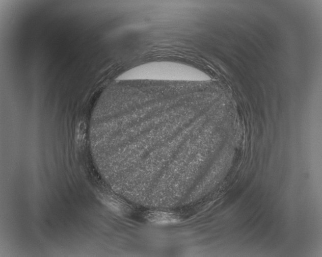 X0000082200507200702170022