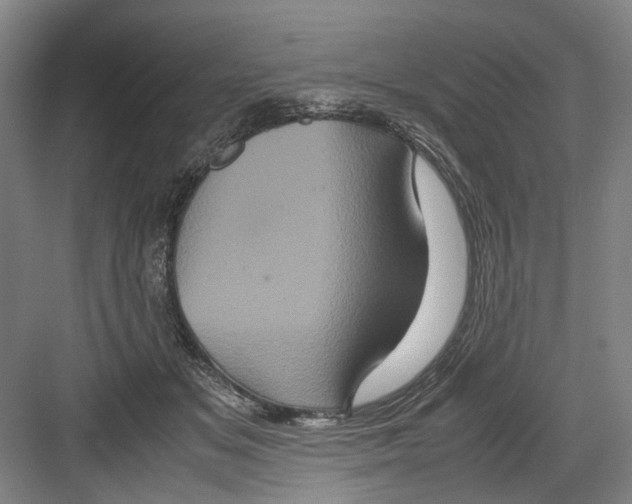 X0000082200509200702170022