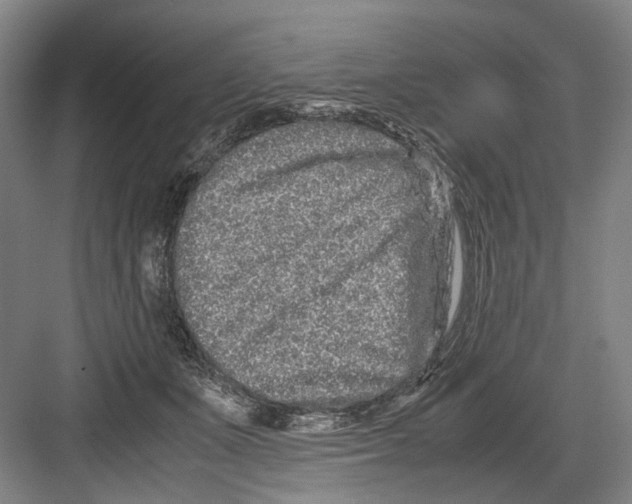 X0000082200511200702170022