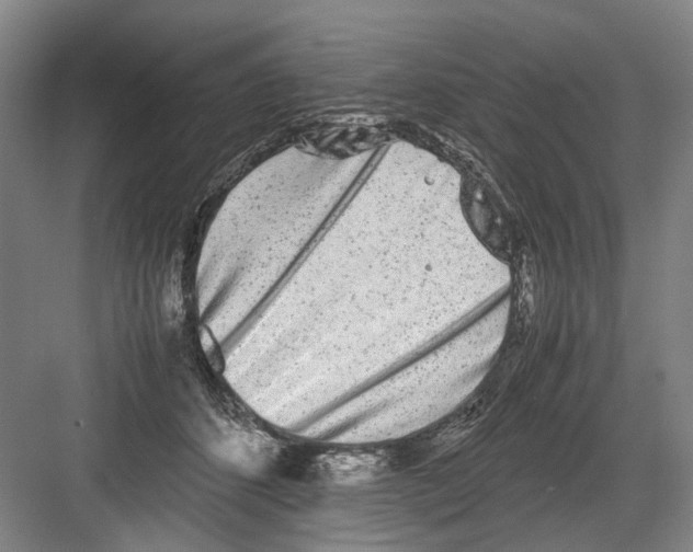 X0000082200512200702170022