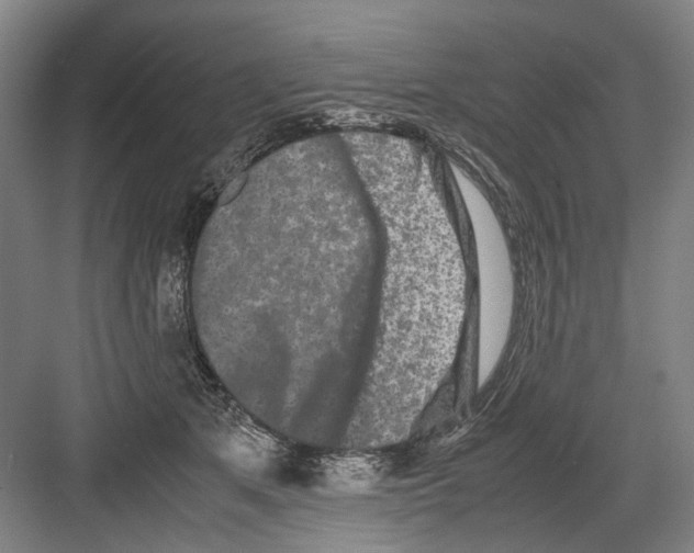 X0000082200513200702170022