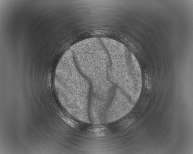 X0000082200514200702170022