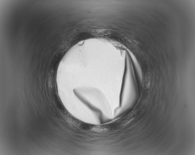 X0000082200515200702170021