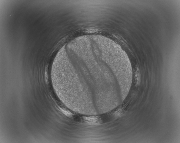 X0000082200516200702170021