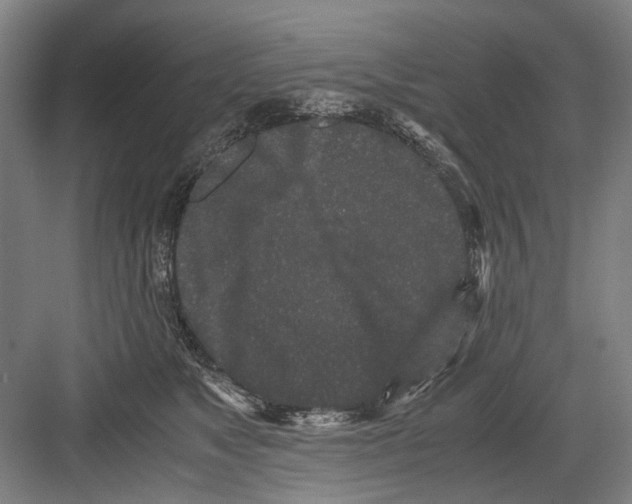 X0000082200517200702170021