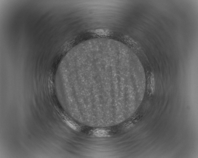 X0000082200518200702170021