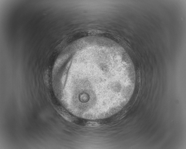 X0000082200519200702170021