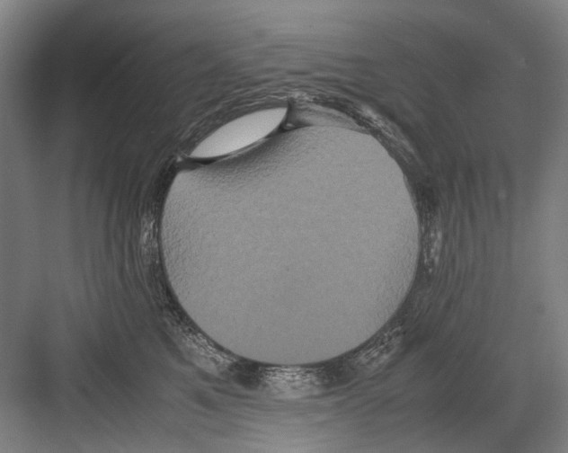 X0000082200521200702170021