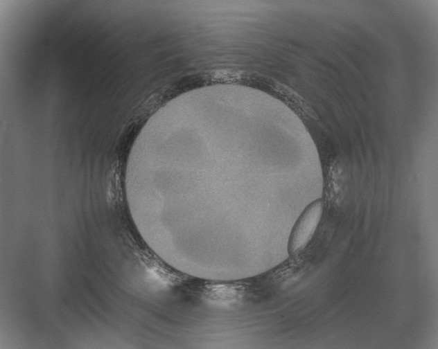 X0000082200522200702170021