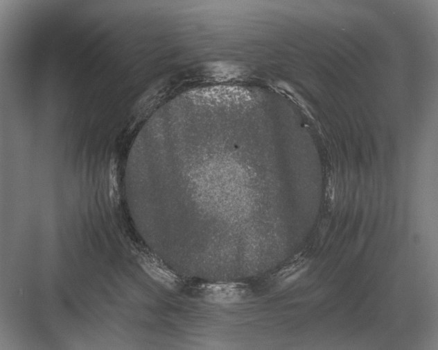 X0000082200524200702170021