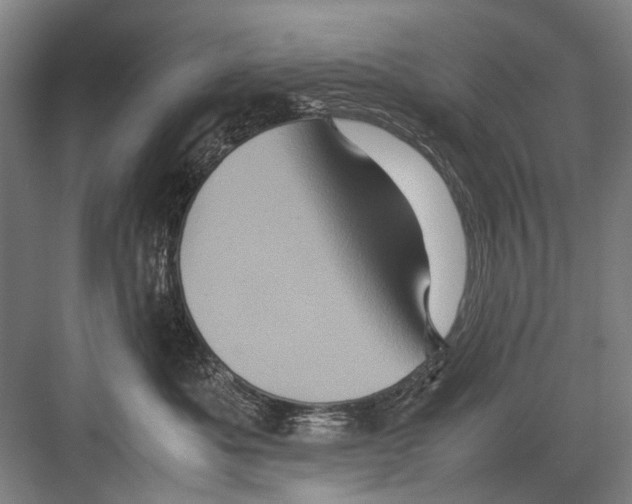 X0000082200525200702170021