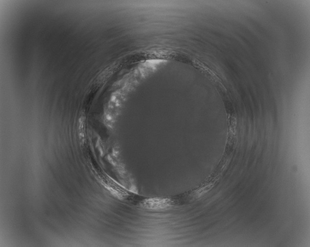 X0000082200526200702170021