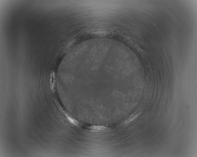 X0000082200528200702170021