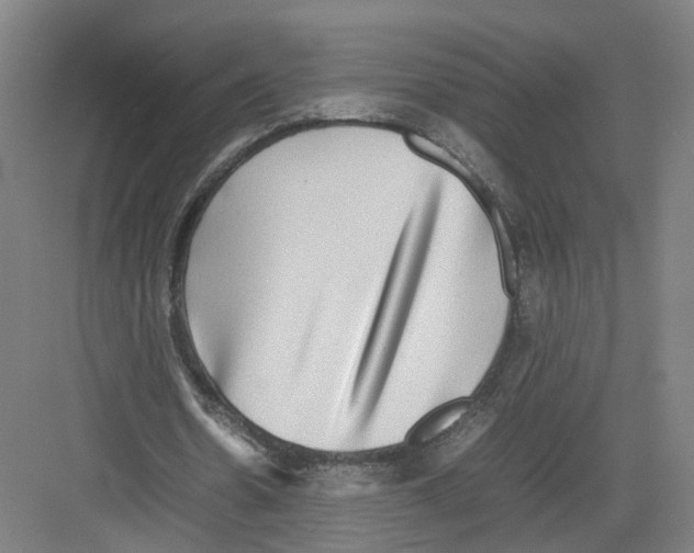 X0000082200530200702170020