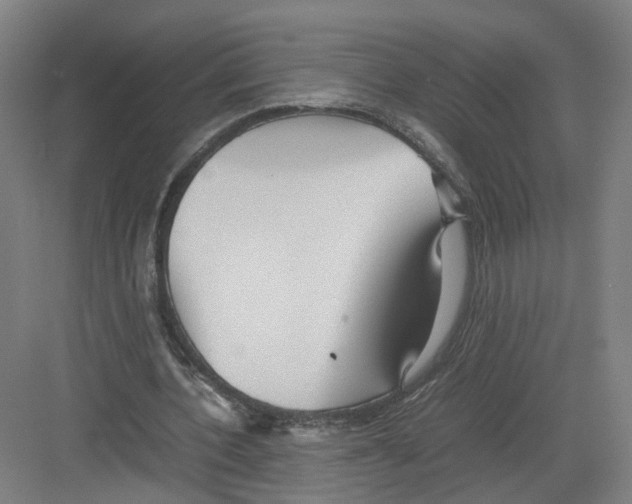 X0000082200532200702170021