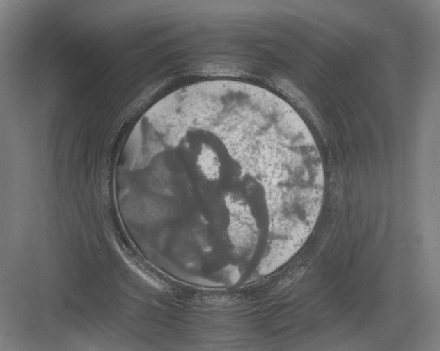 X0000082200533200702170021