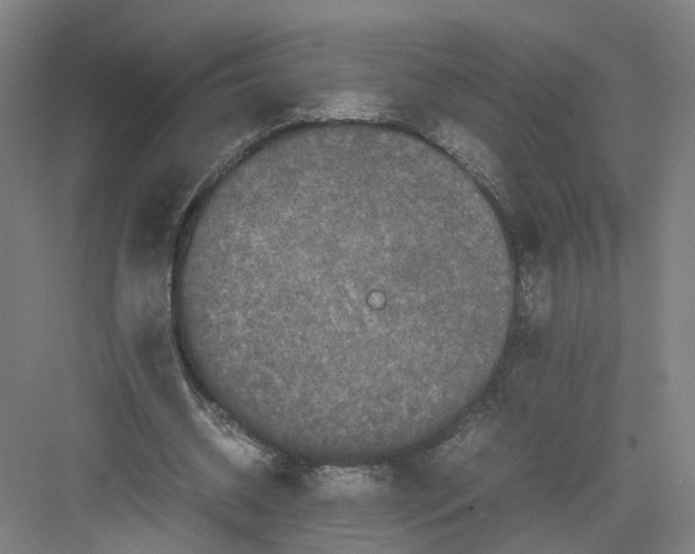 X0000082200534200702170021