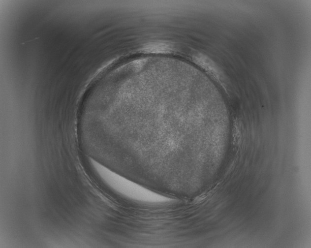 X0000082200535200702170021