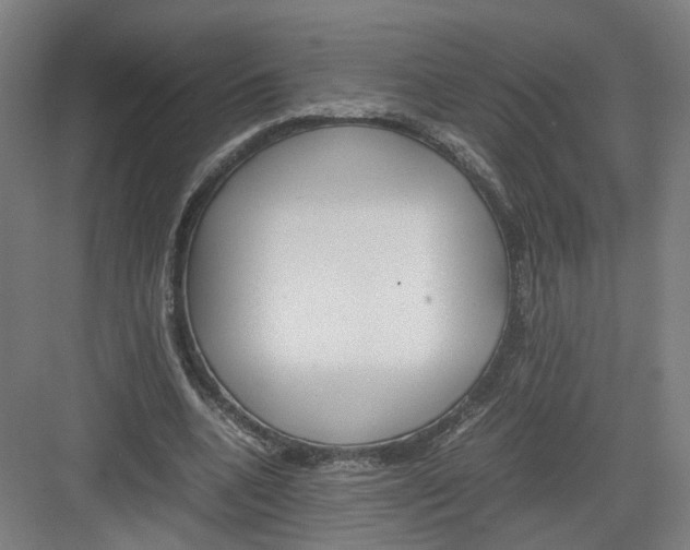 X0000082200536200702170021