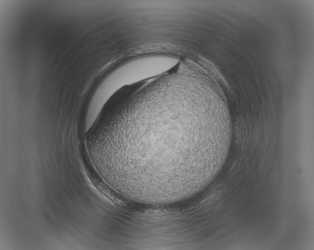 X0000082200538200702170021