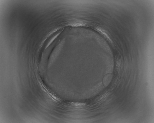 X0000082200539200702170021