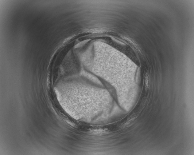 X0000082200540200702170021