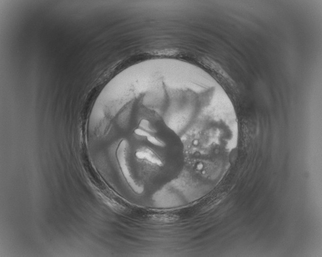 X0000082200541200702170021