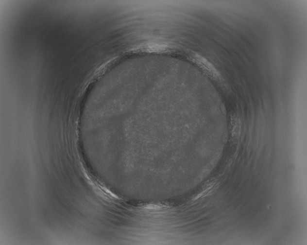 X0000082200542200702170021