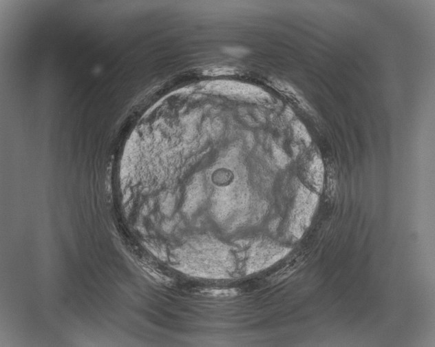 X0000082200543200702170021